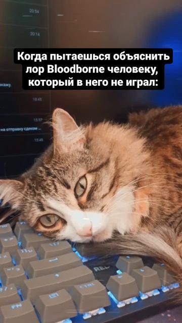 Бойтесь древней крови! #bloodborne #бладборн смотреть онлайн