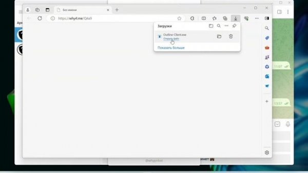 WhyPN // Как установить на Windows