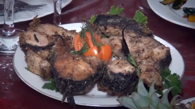 Шымкент Кудрет тойханасы