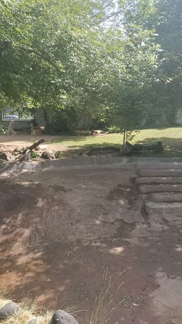 в зоопарке 1 часть смотреть онлайн