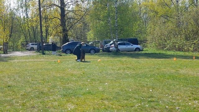 8.  выражено/перв ОБЕРЛАУФ УРУЗ (Оберлауф Авангард – Vildfang Oktaviya)