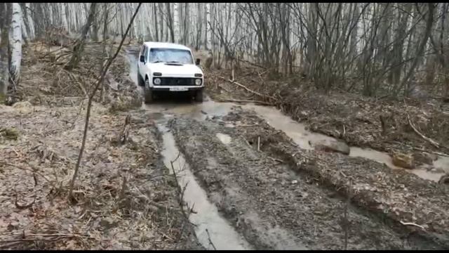 Нива 2131 по бездорожью