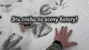 ОХОТА НА ГУСЯ ВЕСНА 2025 в Республике Коми. Заходим в избушку. 1-й день..