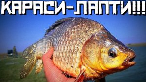 Руки болят от такого КЛЕВА! КОНСКИЙ КАРАСЬ ПОШЁЛ!!! ! Ловля карася весной