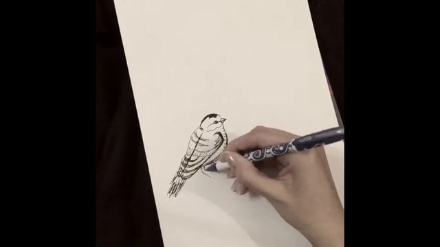 Рисунок гелевой ручкой🦅 смотреть онлайн