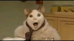 Этот кот еще и поет | Забавная песня про мем | Бу! Испуга