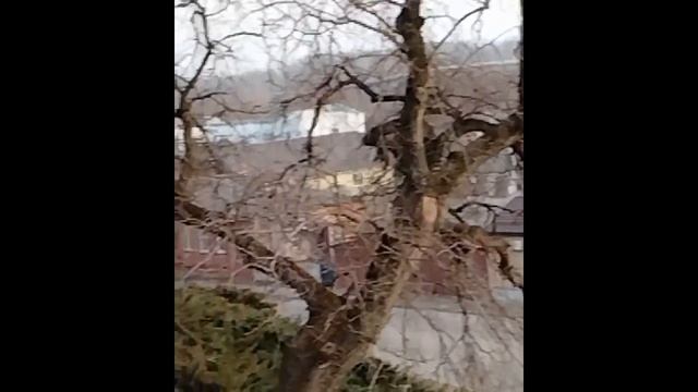 Чернигов. Мой город в марте.