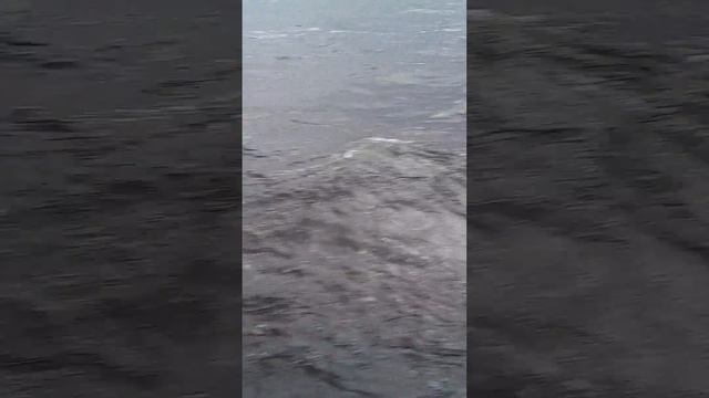 ходим по Волге)))Казань))) смотреть онлайн