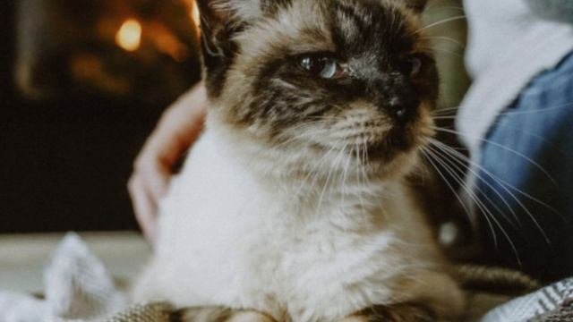 Хотела стать художницей, а муж смеялся и издевался над смотреть онлайн