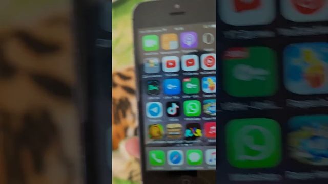 Неделя с iPhone 5 в 2025 году смотреть онлайн