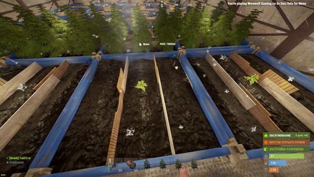 RUST - КАК БЫСТРО ВЫВЕСТИ ТОП ГЕН?