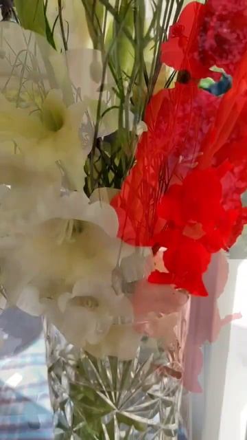 Гладиолусы - цветы из детства, не держала в руках 40 лет? смотреть онлайн