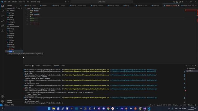 12 . Практическое занятие. Создаем флаги | Python основы смотреть онлайн
