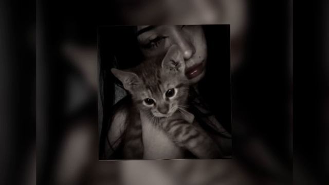 FLOKI, ЭВСЭ - девочка с моих снов теперь со мной Speed Up🖤