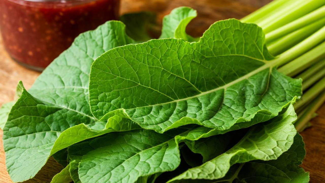 Его сок применяют для лечения женских заболеваний. смотреть онлайн