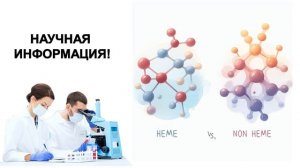 Недостаток железа и анемия - Ошибки Веганов