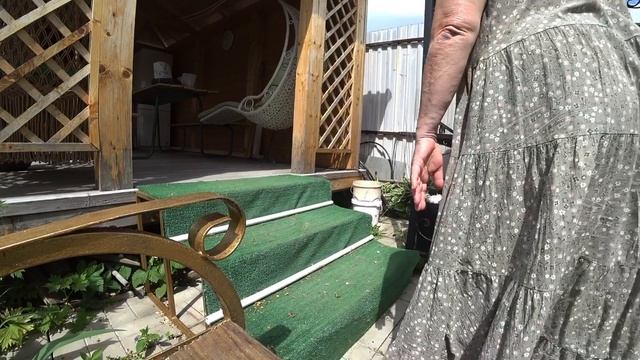 Дыня Лада. Любашкина взятка 🤣. Покупки в садовом центре. смотреть онлайн