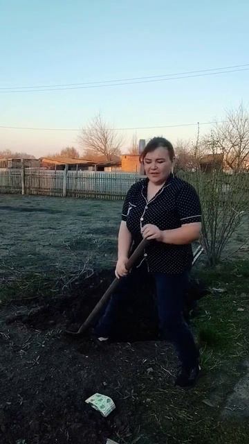 Посадка #посев #огород смотреть онлайн