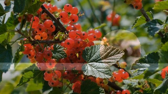 В день рождения моего любимого я приготовила для него смотреть онлайн