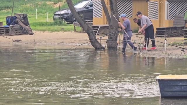 30.05.25 г. Парк отдыха водопад смотреть онлайн