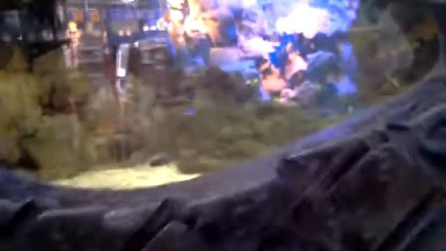 акулы в Перовском рынке.mp4 смотреть онлайн