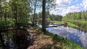 РЕКА ПРА. ОДНИ НА РЕКЕ. ДЕНЬ ВТОРОЙ.