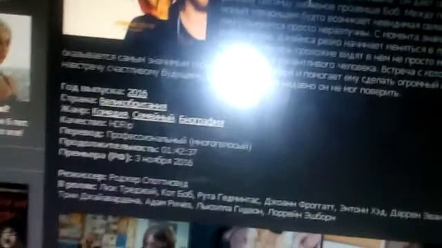 Кот Боб. Немного информации о книге