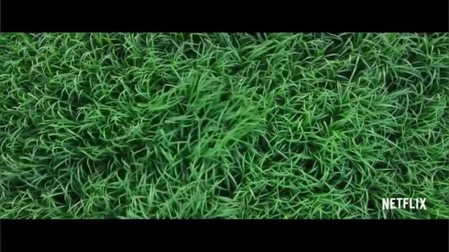 ТОП 5 Подборка лучших фильмов ужасов. смотреть онлайн