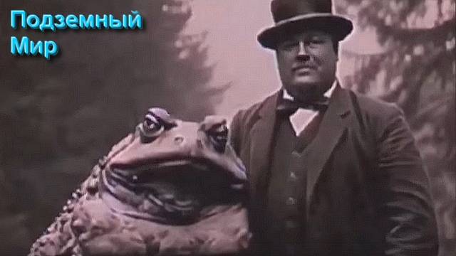 Ответы на Вопросы по Эзотерике от 30.05.25 Часть 2 смотреть онлайн