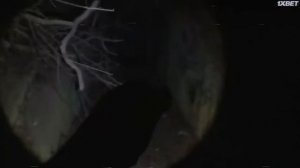 Кассета Страха   Ужасы