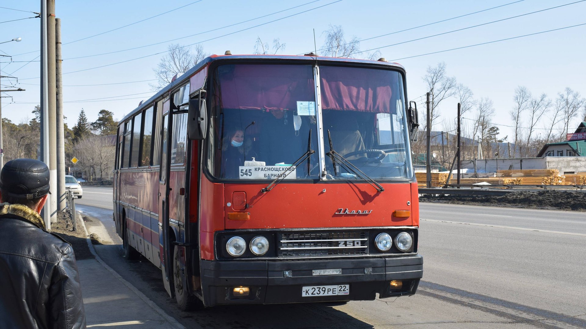 Автобус Икарус-250.59 (Ikarus 250.59)(К 239 РЕ 22) смотреть онлайн