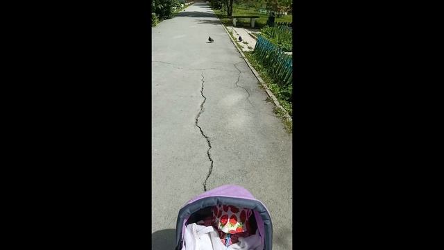 #ВЛОГ. Прогулка с двойняшками. ❤️🔥🍼🫰 смотреть онлайн