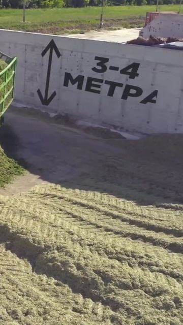 Силосная траншея #животноводство #сельскоехозяйство #