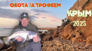 В поисках трофейного горбыля: секреты успешной рыбалки!