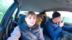 НА КЛАДБИЩЕ, УСТАНОВИЛИ ОГРАДКУ. СВИНЬЯ ПОЕХАЛА ГОСТИТЬ К БАБУШКЕ.  НЕОБЫЧНЫЙ ДЕНЬ В ДЕРЕВНЕ. 818с