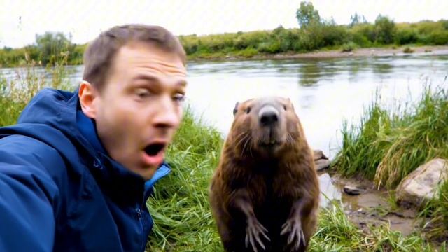 Бобер Курва смотреть онлайн