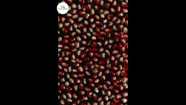 Польза граната: Почему этот фрукт – суперфуд для ваше?