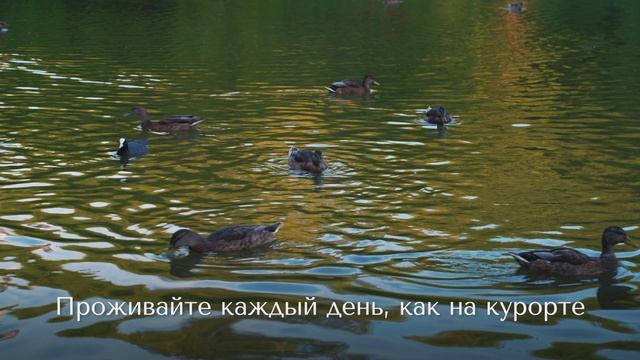 ЖК Ривьера смотреть онлайн