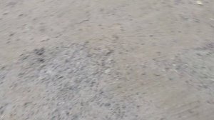 Шум помпы Skoda Rapid 1.6 CFNA