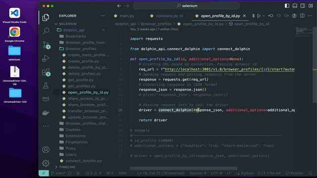 Подключение к Dolphin API | Selenium + Python автоматизация | #python #п смотреть онлайн