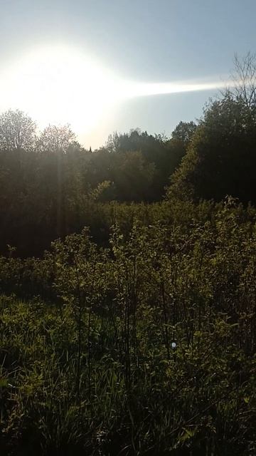 РЫБАЛКА МЫ СНОВА НА НОЛЬКЕ! РЕКА МАЛАЯ КОКШАГА! 17.05.2025 ГОДА! ЧАСТЬ-7 ДОМОЙ! #fishing #рыбалка смотреть онлайн