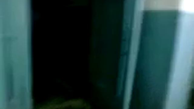 искатели могил 1 смотреть онлайн