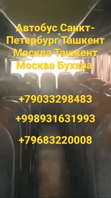 Санкт-Петербург Ташкент сегодня прямой рейс автобус Т смотреть онлайн