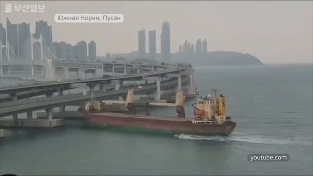 Врезавшийся в мост в порту Пусан сухогруз будут ремон? смотреть онлайн