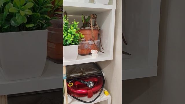 обзор кухни #обзор #хрущевка #дизайнинтерьера #обзоркв