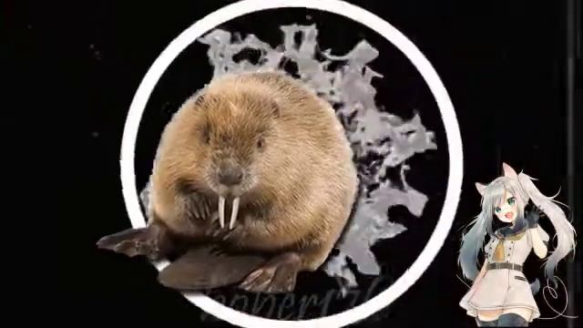 Официальное интро канала Bobr (Bober176)