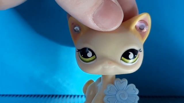 LPS Видеообращение / мои Соц-сети~🖤🐱