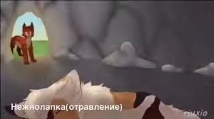 Коты воители   смерти наших любимых персонажей