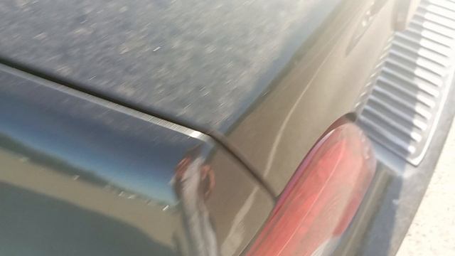 1000053113.mp4 смотреть онлайн