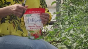С «Акварином» поливай - будет щедрым урожай!